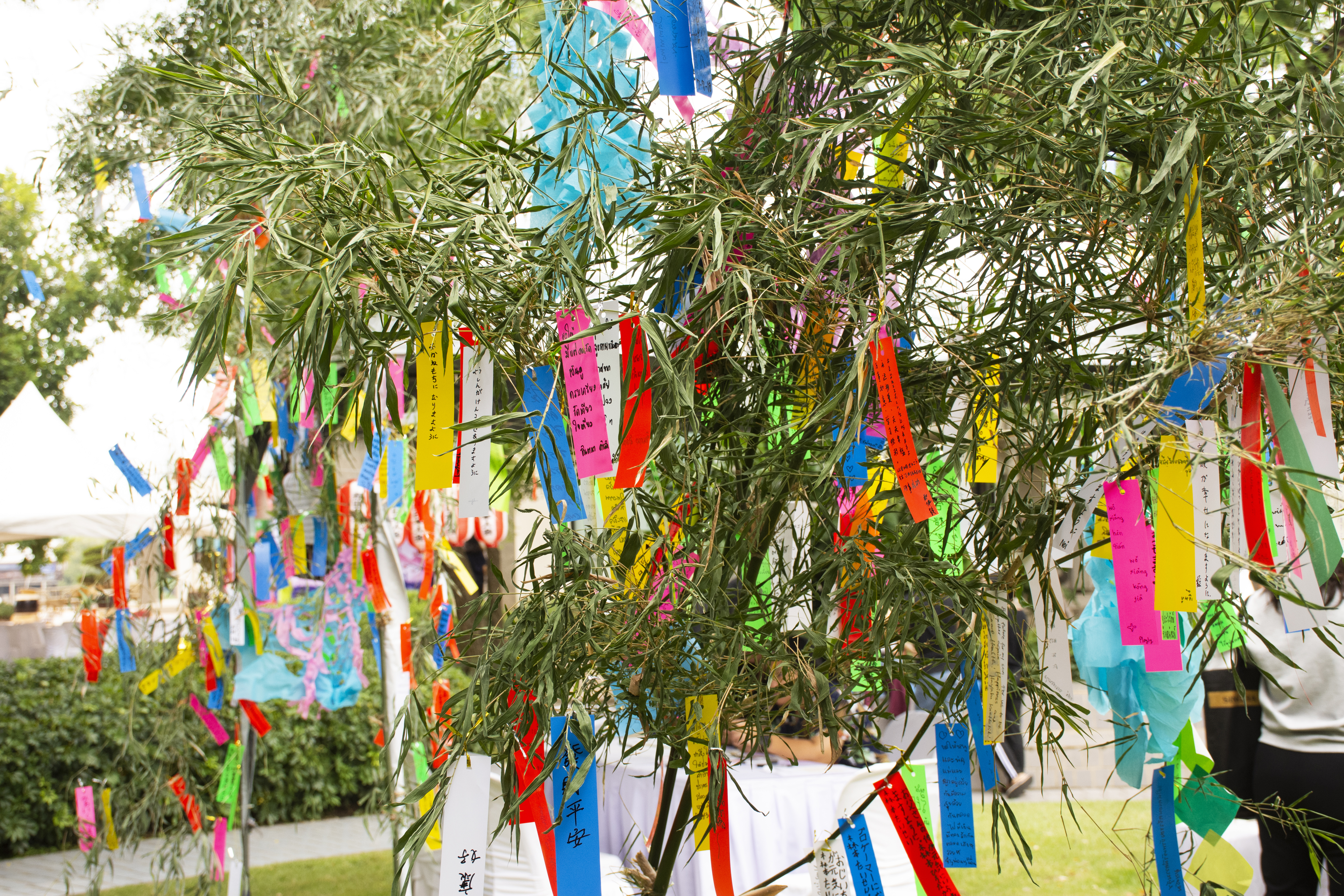 Tanabata: A Golden Opportunity to Connect with Japanese Culture